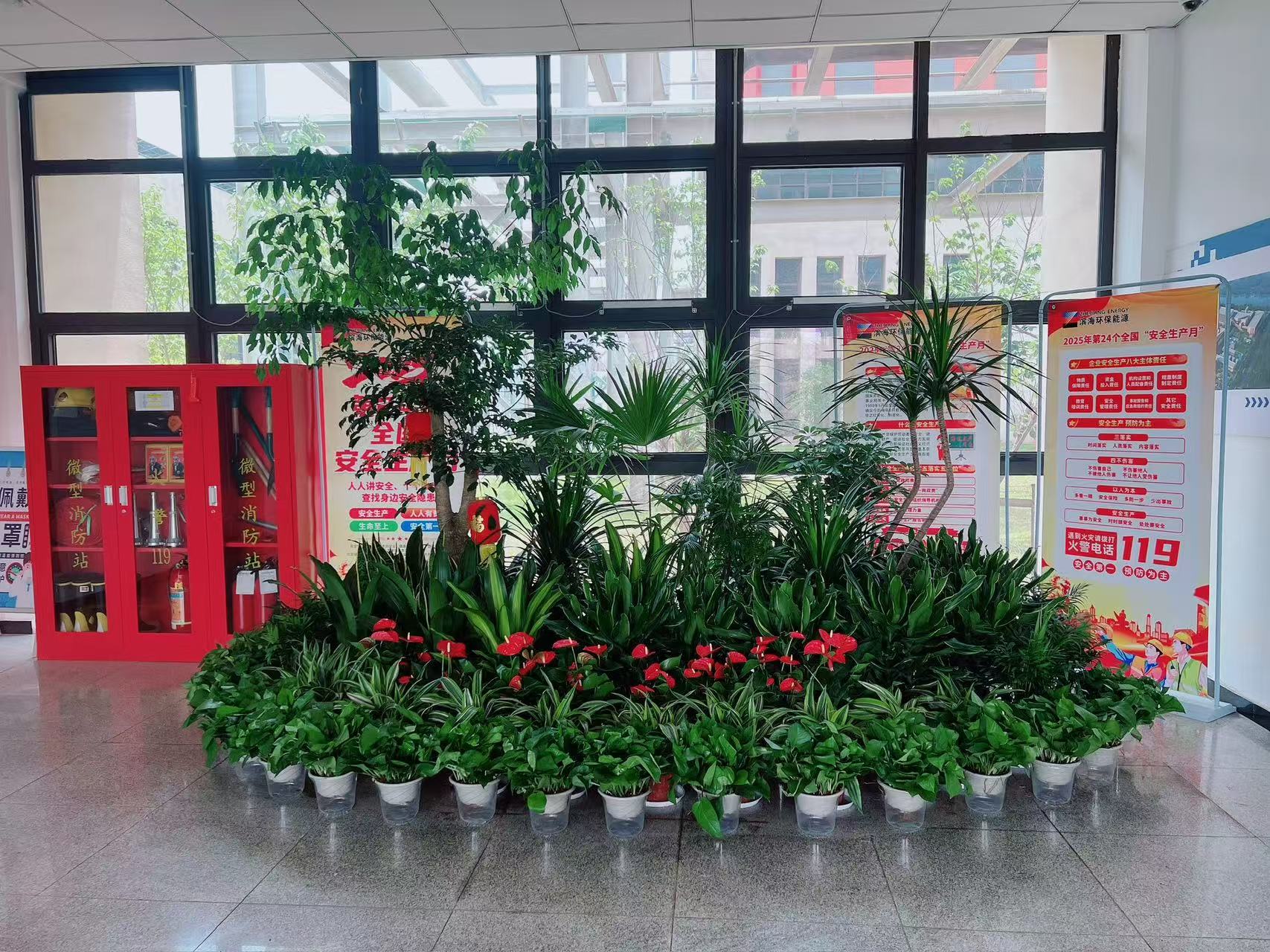 奉化盆景租赁哪家靠谱？业内推荐这几家！