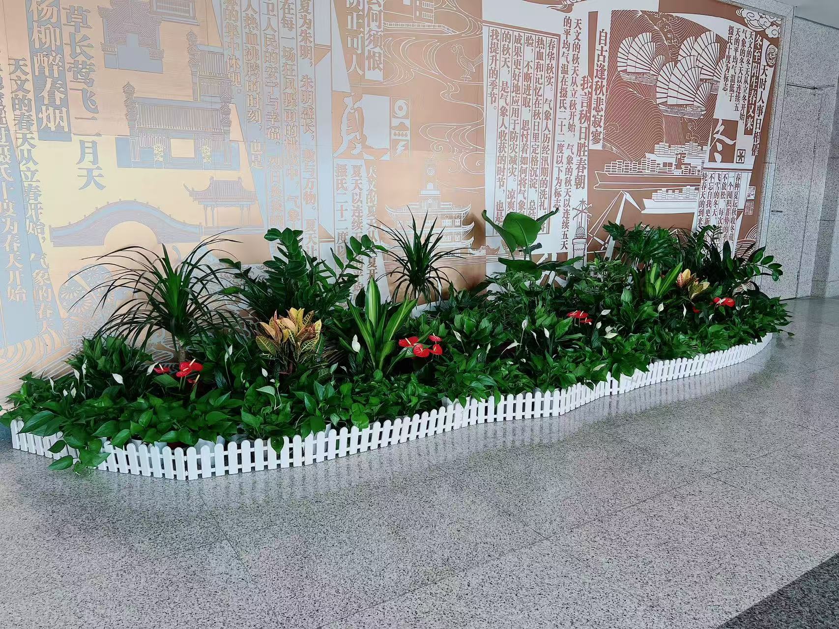 探秘宁波前湾植物租赁，开启别样绿植体验